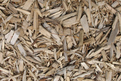 biomass boilers Mynachdy